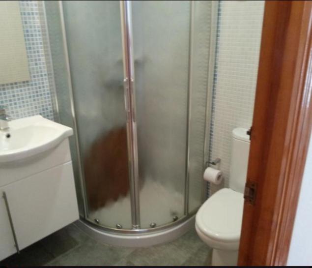 Apartamento En La Playa De San Jose-Sjjc Bilik gambar